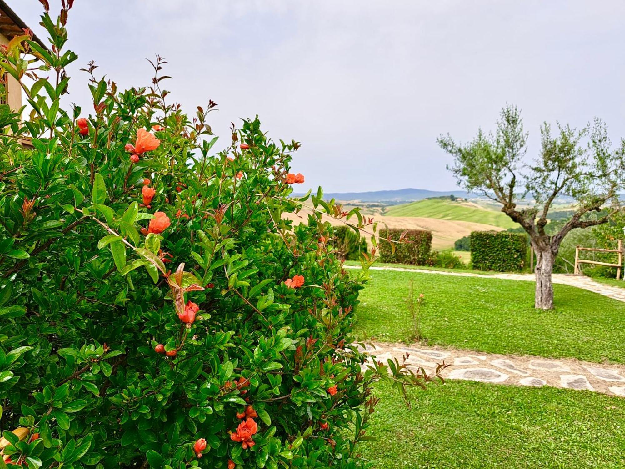 Agriturismo Caliano Asciano Εξωτερικό φωτογραφία