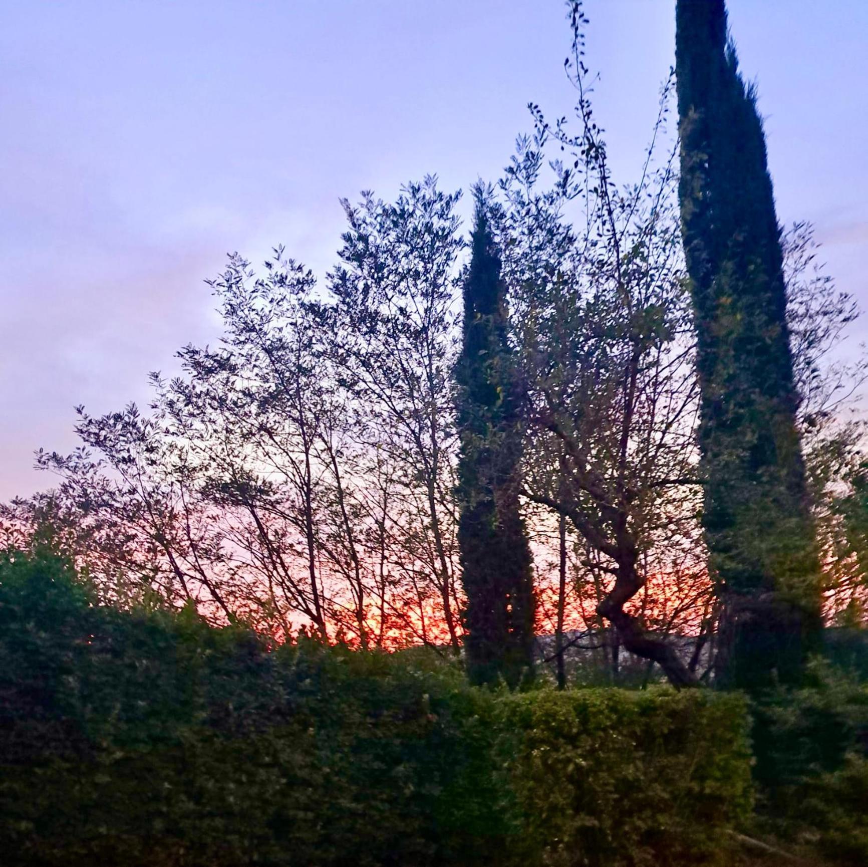 Agriturismo Caliano Asciano Εξωτερικό φωτογραφία