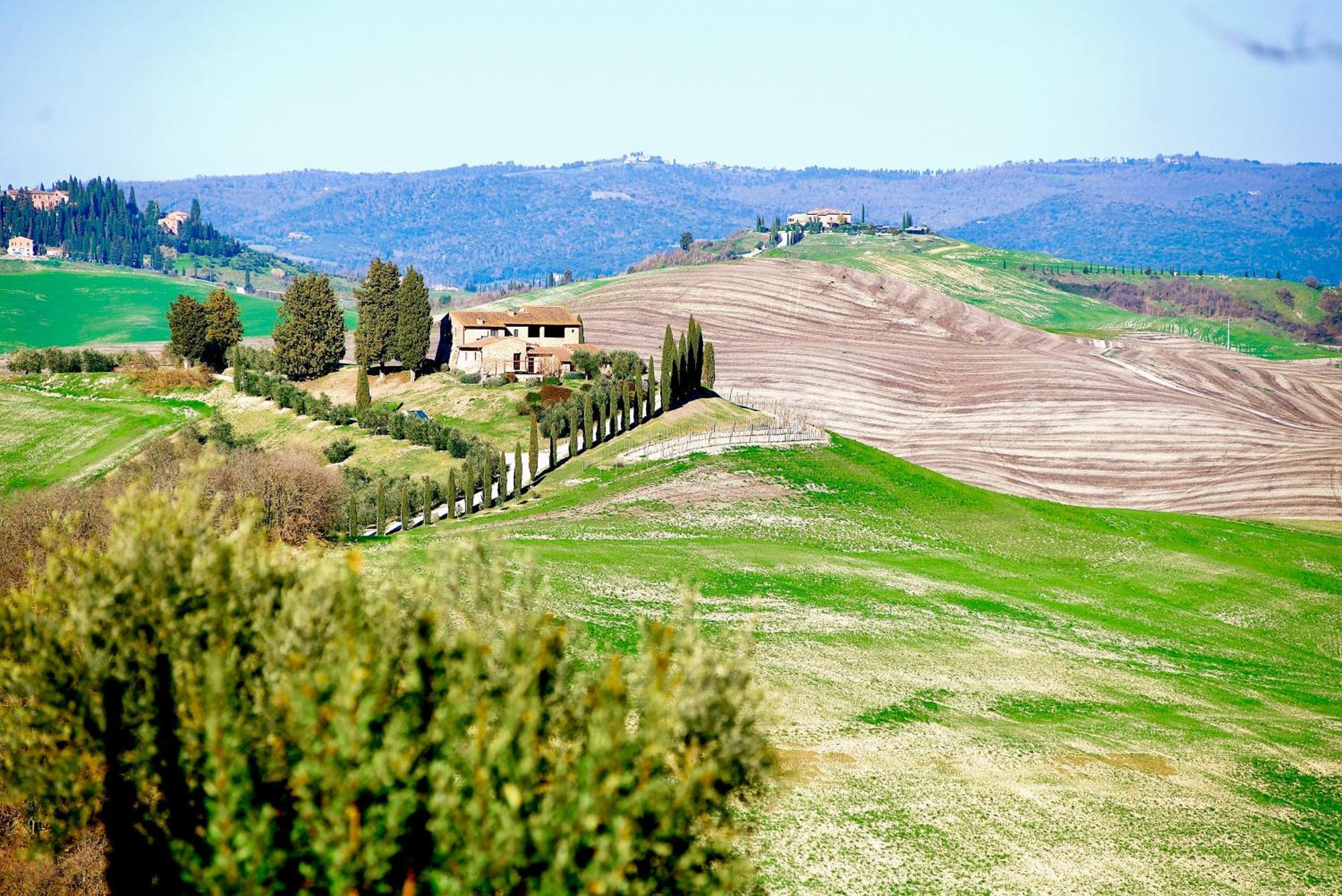 Agriturismo Caliano Asciano Εξωτερικό φωτογραφία